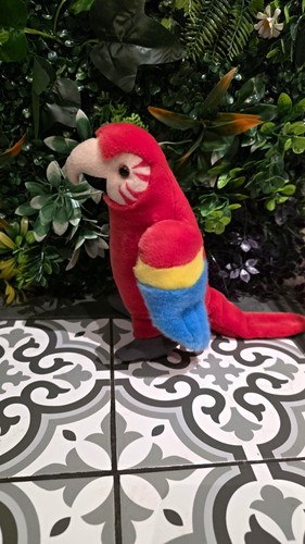 Rainforest red parrot macaw - rainforest, parrot/macaw