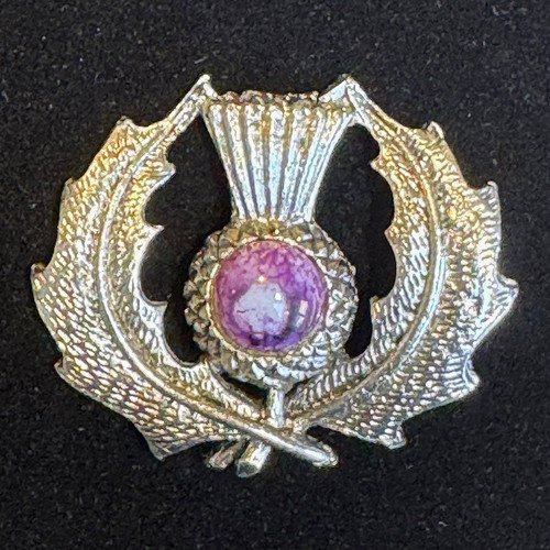 Vintage scottish thistle - vintage,