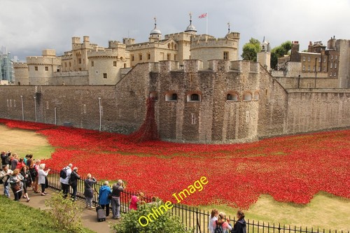 Photo 6x4 tower poppies london - 6x4,