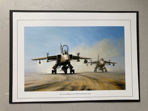 Military aviation print cats - aviation, print-