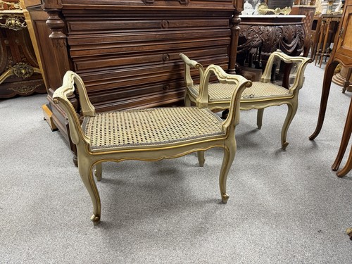 Rare pair 19th - rare,