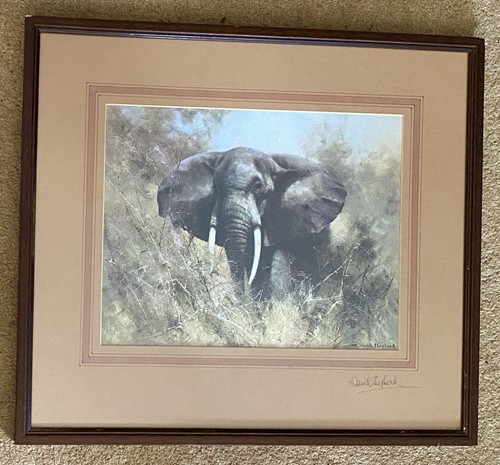 Bull elephant signed - “bull, elephant”