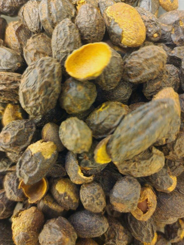 Saw palmetto berries whole - saw,