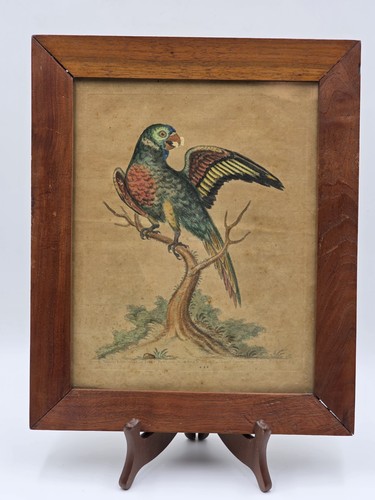 1755 george edwards - 1755,