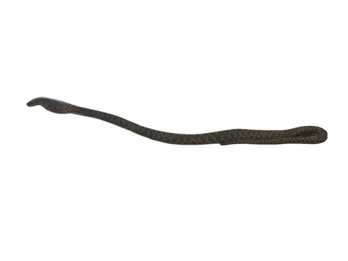 Cobra snake fiberglass - cobra,