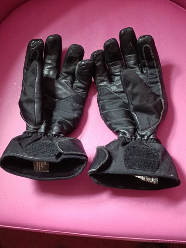 Frank thomas motorcycle - motorcycle, gloves