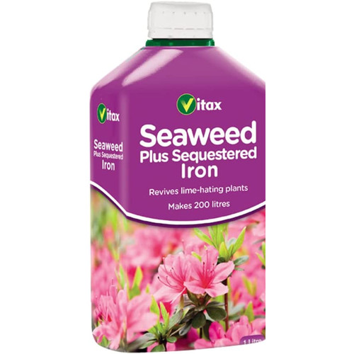 Vitax fuchsia seaweed tree - vitax,