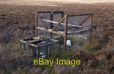 Photo 6x4 larsen - 6x4, ellerby