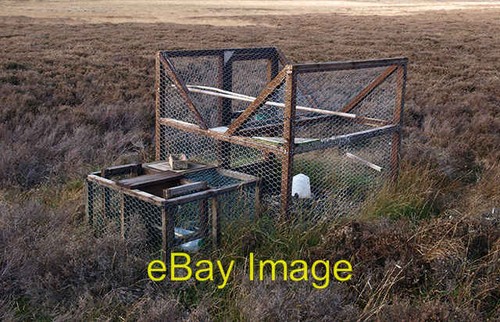Photo 6x4 larsen trap ellerby - trap,