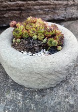small stone round trough