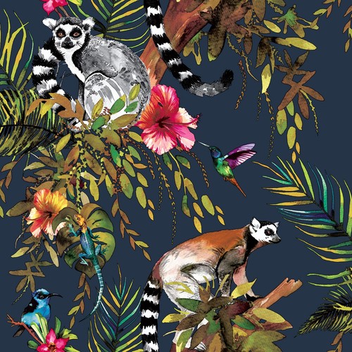 Lemur rainforest animals - lemur, &