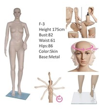 Brand New Full Body Mannequin