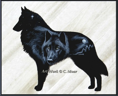 Belgian shepherd tervuren - belgian,