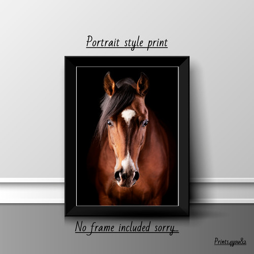 Horse wildlife print poster - a4,