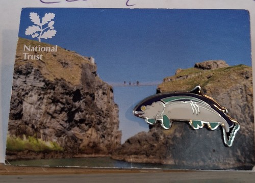 Rspb interest salmon enamel - rspb,