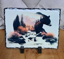 bear mountains river Photo