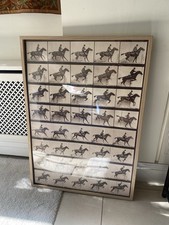 IKEA Ribba Poster Frame With Poster Of Running Horse