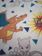 anime pokemon charizard twin