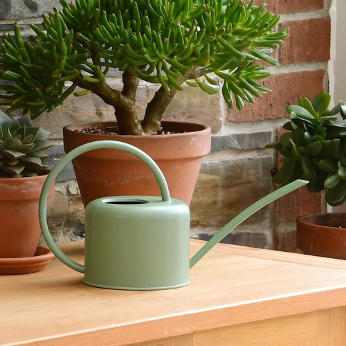Indoor green coloured watering - green,
