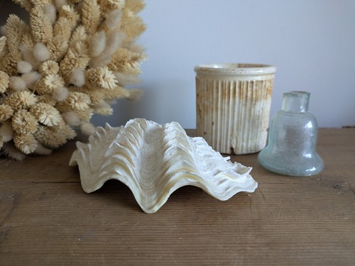Sea ocean 15cm - sea, real