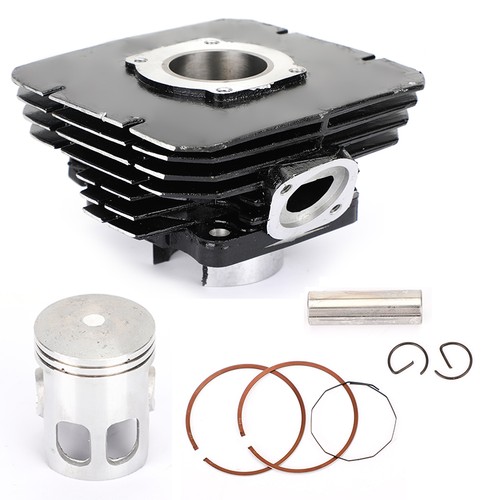 Cylinder piston ring rebuild - ring,