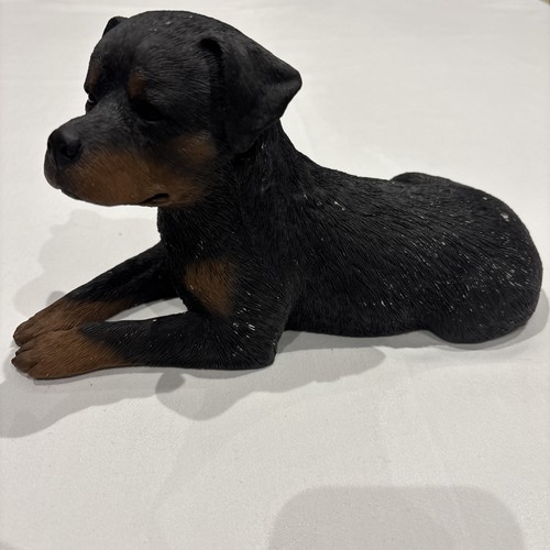 Sandicast rottweiler sculpture - rottweiler,