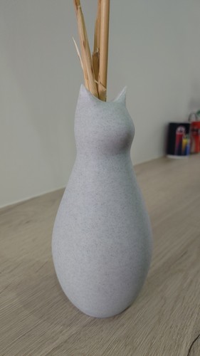 Cute cat vase - cute, plant