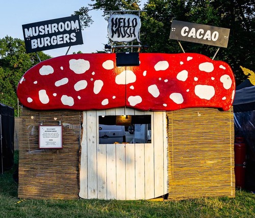 Giant mushroom festival - mushroom, street