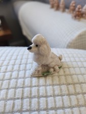 Wade Whimsie Poodle. Dog