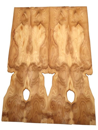 Yew veneer root - veneer,