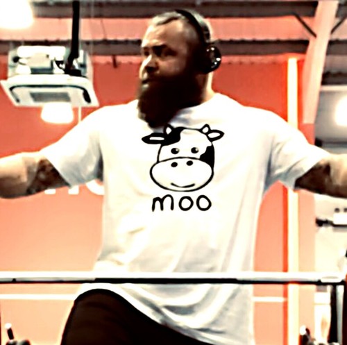 Moo cow tee shirt - moo,