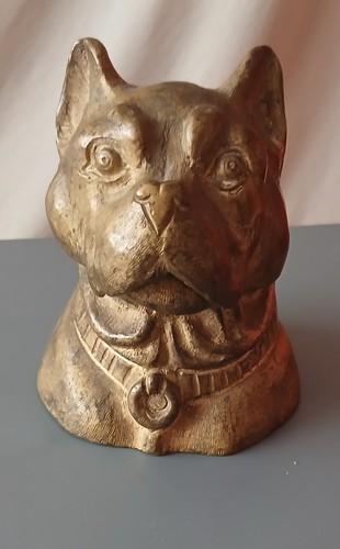 Pit bull terrier - bull,