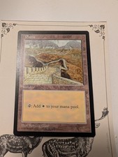 MTG APAC PLAINS - CHINA