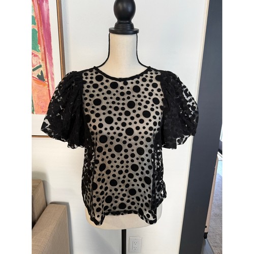 Haute monde black sheer - haute,