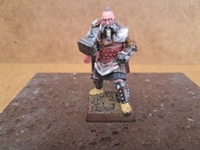 Games Workshop Old World Empire Wolf Priest Of Ulric Custom Conversion.