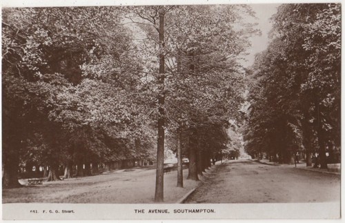 The avenue southampton g o - the,