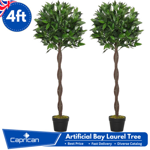 Artificial bay laurel - bay, tree