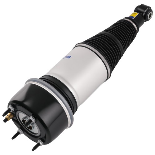 Rear air suspension shock - air,