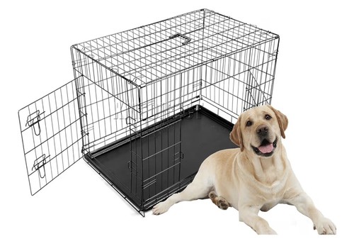 Foxhunter inch pet - pet, dog
