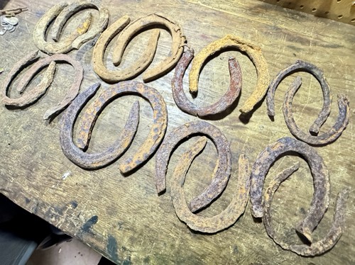 Old horseshoes lot - of, 16