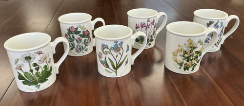 Portmeirion botanic garden - garden, mug