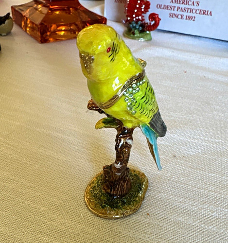 Green parakeet budgie - green, on
