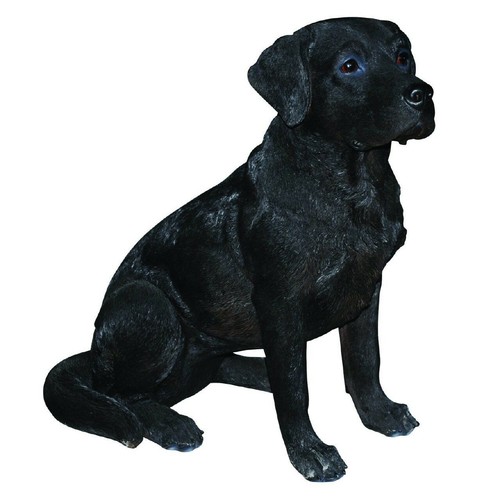 Vivid arts real life black - real,