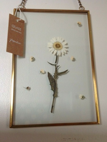 Paperchase vintage pressed - paperchase,