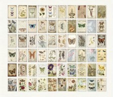 10pcs Vintage Butterfly Double