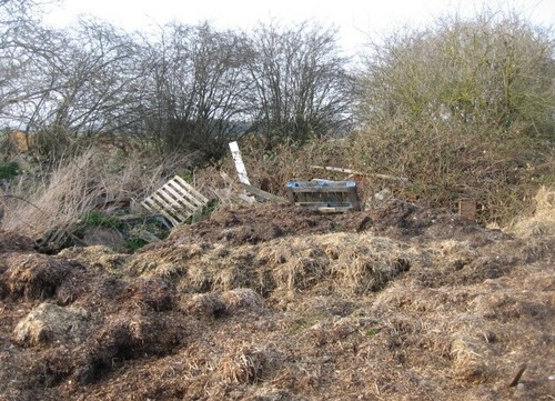 Photo 6x4 rotting hay - 6x4,