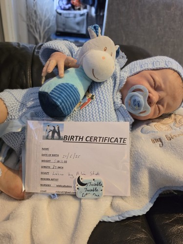 Reborn baby doll - reborn,