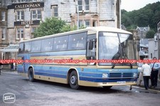 Coach photo midland bluebird - -,
