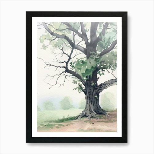 Ebony tree atmospheric - ebony,