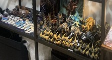 Warhammer 40k Tyranid Army